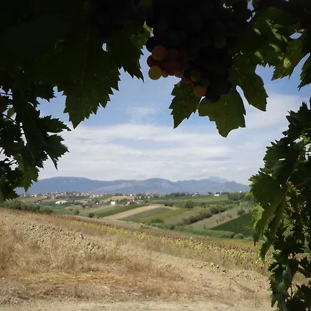Апартаменты The House Of Pilgrims Nocciano